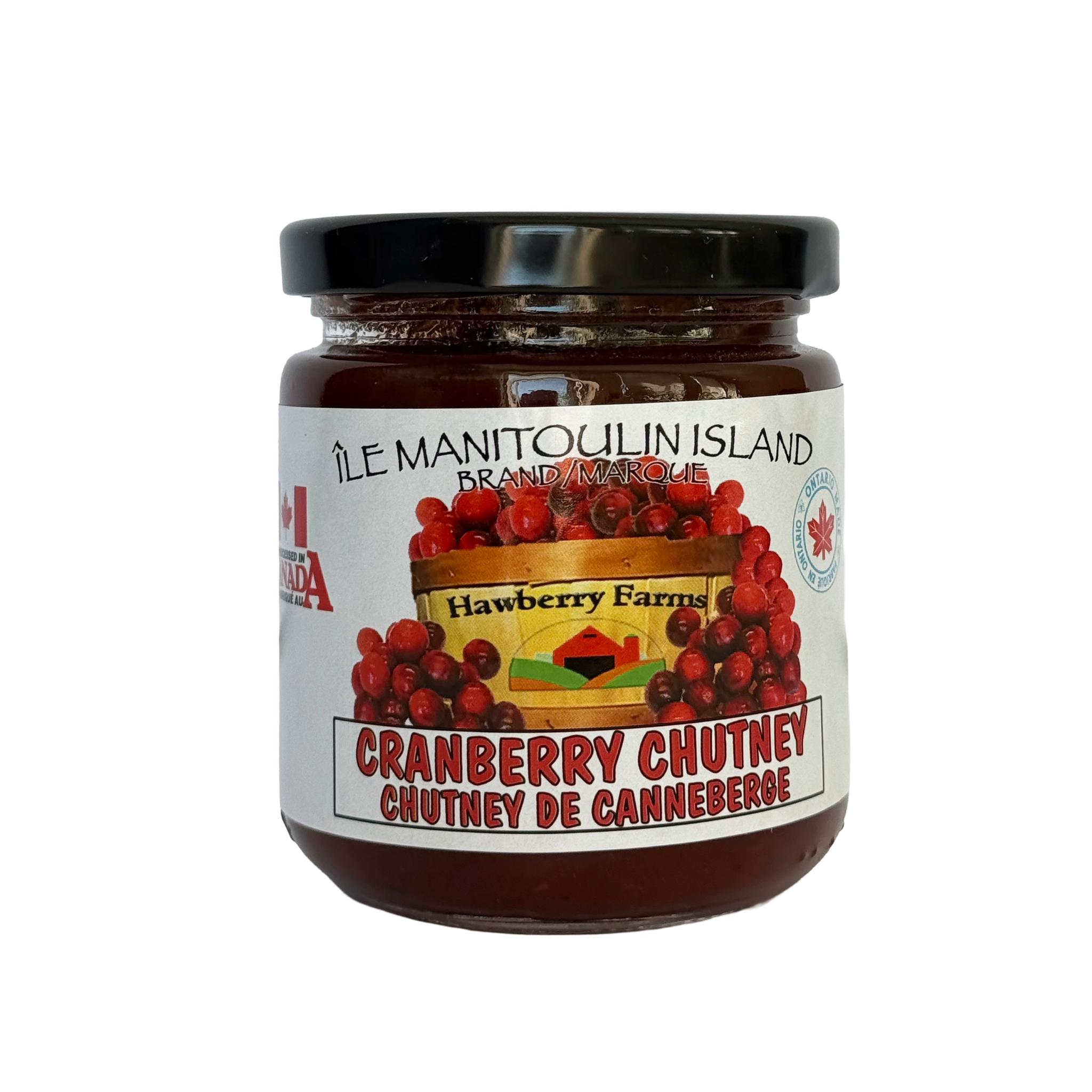 Cranberry Chutney