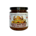 Garlic and Onion Chutney